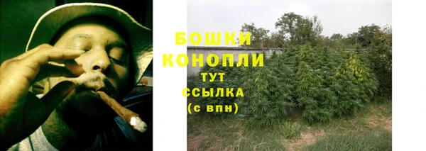 PSILOCYBIN Верхний Тагил